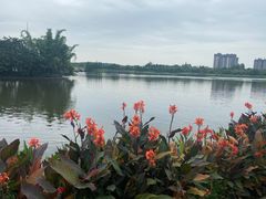 -眉山湿地公园(东坡区)
