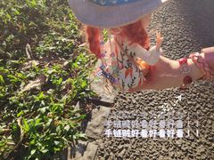 -云溪植物园