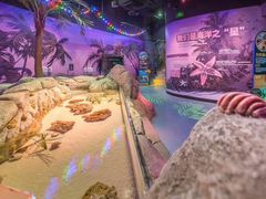 -沈阳海洋探索中心