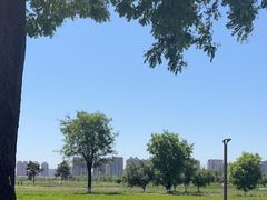 -汉长安城未央宫国家考古遗址公园