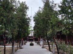 -中华神医扁鹊庙