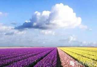 -梵梦影像馆(绿博园店)