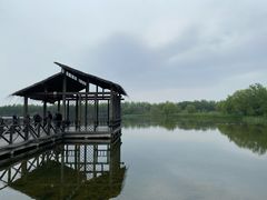 -溱湖国家湿地公园
