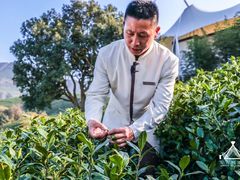 -帐篷客·溪龙茶谷度假酒店