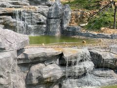 -小南山公园