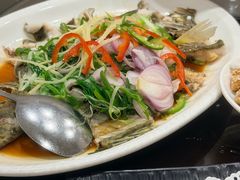 -万年酒楼(越秀南路店)