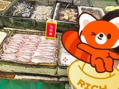 -鸿达渔港