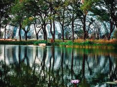 -上海植物园-4号门售票处