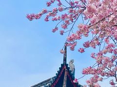 -苏州上方山国家森林公园