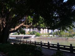 -光明港公园