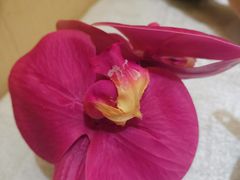 -良友·海鲜青岛菜·海肠捞饭(五四广场店)