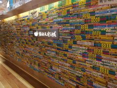 -猫的天空之城概念书店(印象城购物中心店)