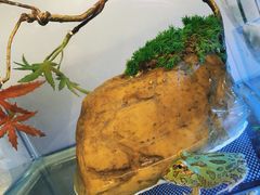 -乐宠宠物店(世纪金源店)