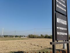 -莲花岛景区