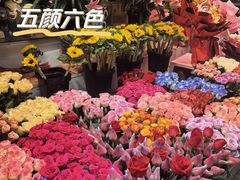-大自然花鸟鱼虫市场