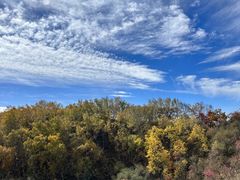 -塞罕坝国家级自然保护区