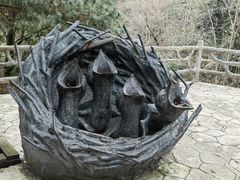 -千岛湖东南湖区