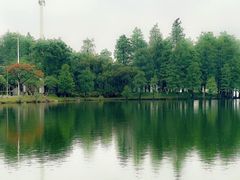-松山湖风景区松湖烟雨