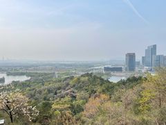 -绍兴镜湖国家城市湿地公园
