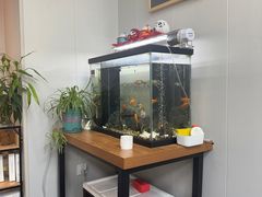 -会麦二手奢侈品包包手表回收寄卖(八佰伴店)