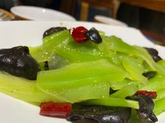 -思金拉措庄园藏餐(太阳岛店)