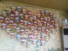 -柴犬高等学院·狗咖·柴犬售卖·宠物训练