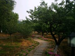 -白马涧龙池景区