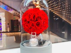 -ROSEONLY诺誓(广州K11店)