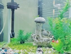 点击看大图 -荟草堂专业痘肌皮肤管理