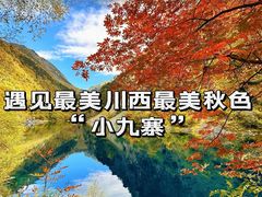 -叠溪松坪沟景区