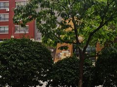 -北京市史家小学(通州分校)