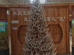 -北京鹿世界主题园