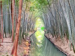 -同里国家湿地公园