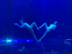 -华夏文旅海洋公园