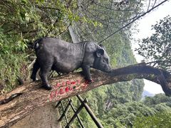 -蝶舞清江·恩施地心谷景区
