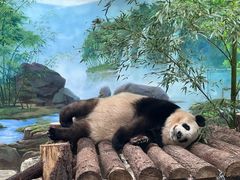 -杭州动物园
