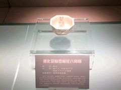 -宁夏博物馆