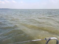 -淀山湖国旅帆船体验中心