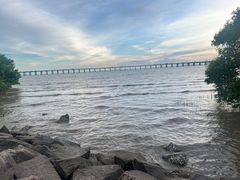 -宝安西湾红树林湿地公园