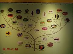 -上海昆虫博物馆