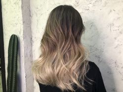 点击看大图 -SALON V