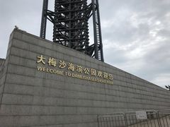 -五谷芳乳鸽王（大梅沙总店C区）(网红打卡店)