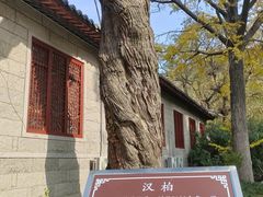 -青岛崂山太清宫