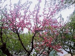 -大兴滨河森林公园