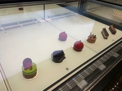 -BLACKSWAN黑天鹅(新希望店)