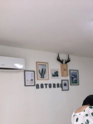 -Doris多里斯半永久纹眉·SMP纹发·发际线