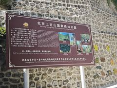 -北京上方山国家森林公园