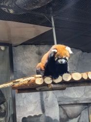 -Zoolung Zoolung动物主题公园(海信广场店)