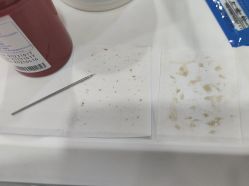 -SKIN79皮肤管理中心