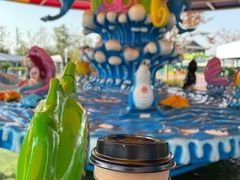 -芜湖新华联大白鲸海洋公园